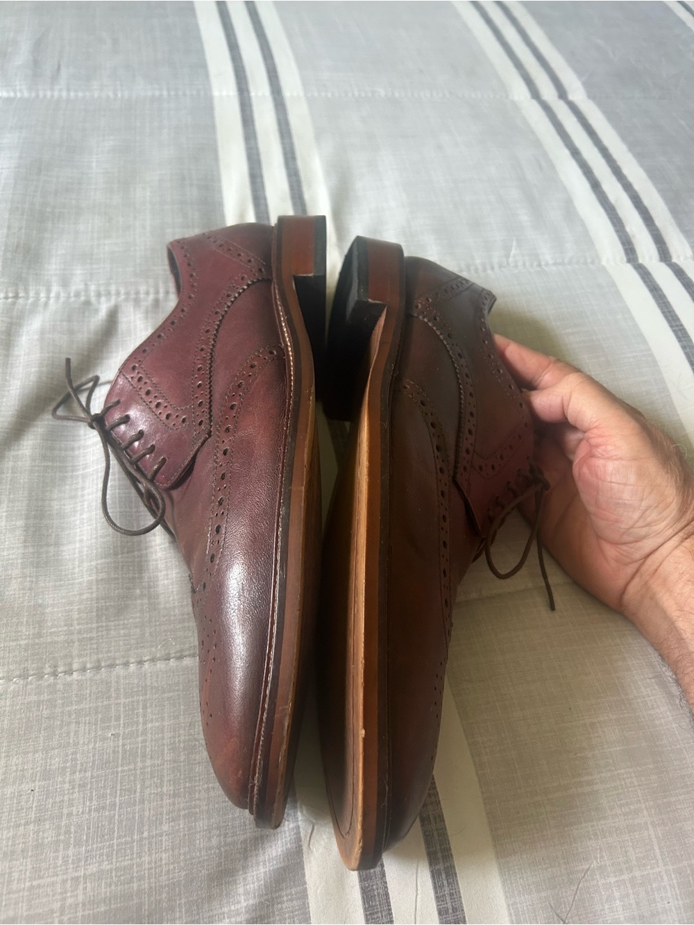 Banana Republic Men's Oxblood Leather Wingtip Oxfords - Picture 4 of 6